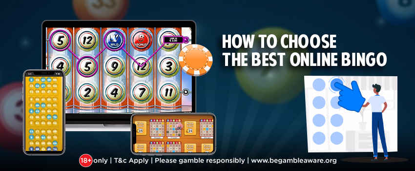bingo best mate