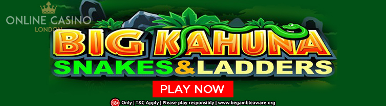 Big Kahuna Snakes & Ladders