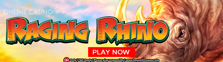 Raging Rhino