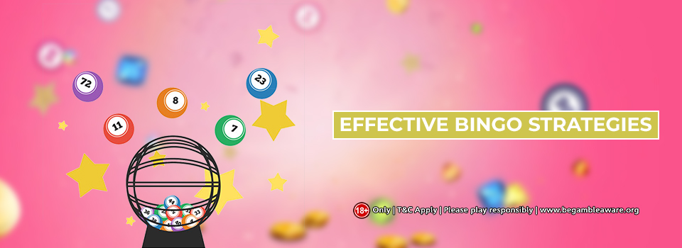 Effective Bingo Strategies that can make you an Expert Gambler