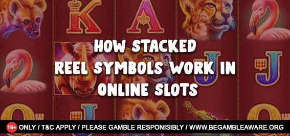 How Stacked Reel Symbols Work in Online Slots