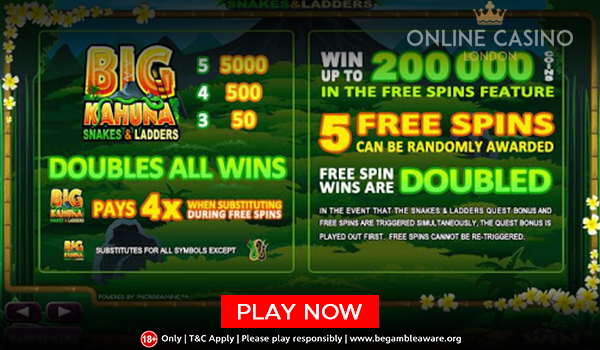 Big Kahuna Snakes & Ladders