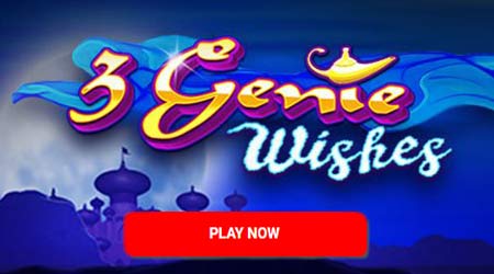 3 Genie Wishes