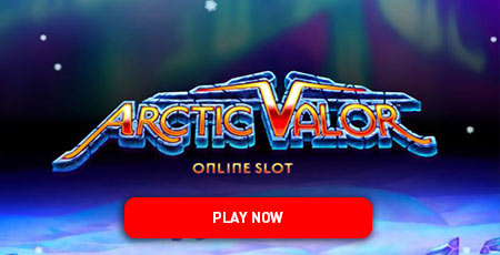 Arctic Valor