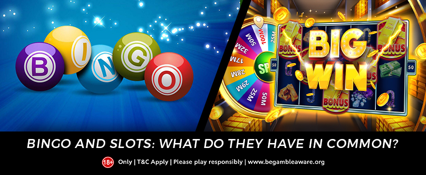 Bingo and Slots: What do they have in common?