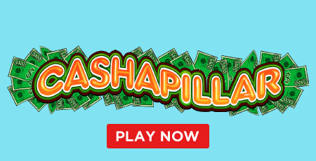 Cashapillar