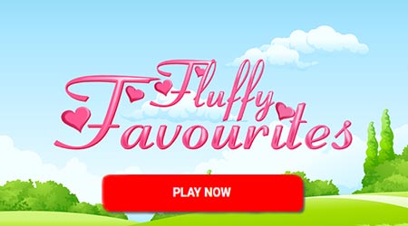 Fluffy Favourites