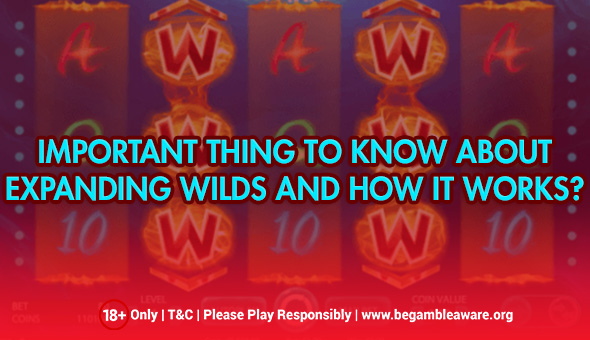 What Is Expanding Wilds & How Does It Work?