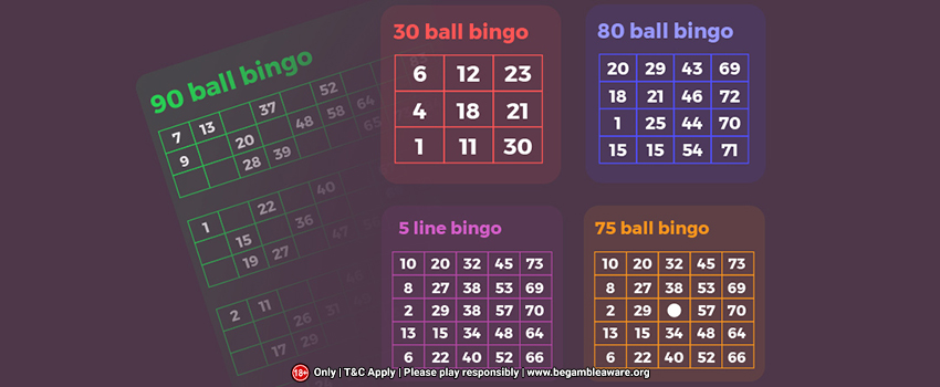 The Various Forms of Bingo Available